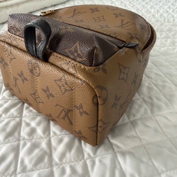 Louis Vuitton Palm Springs Mini Backpack main image 14